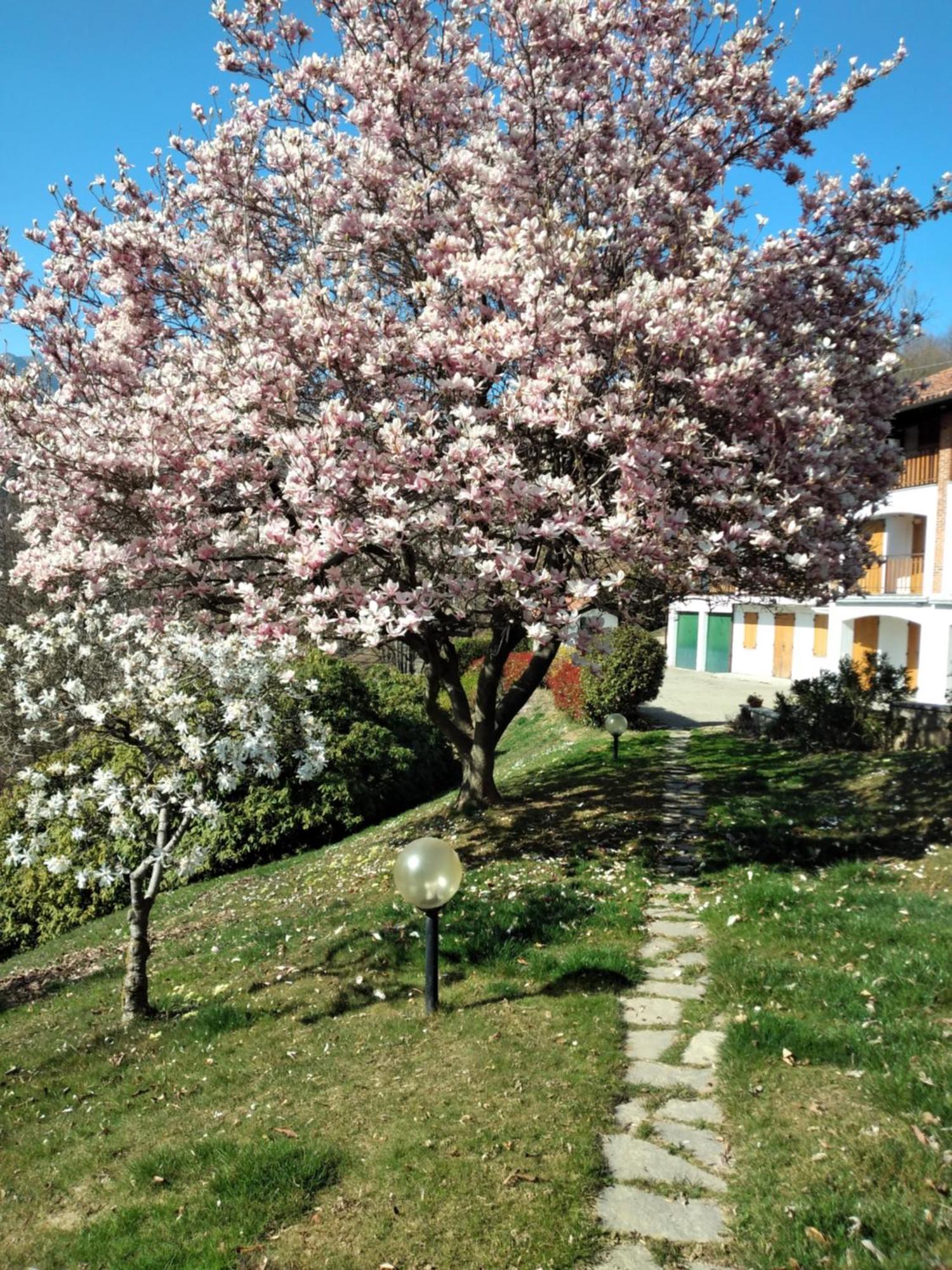 Appartamento A Due Passi Da Burcina Favaro Bagian luar foto